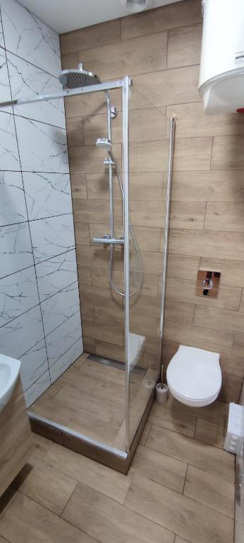 Hanso apartamentai room 3